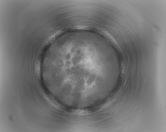 X0000115670542200911251732