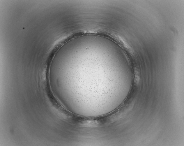 X0000115670543200911251732