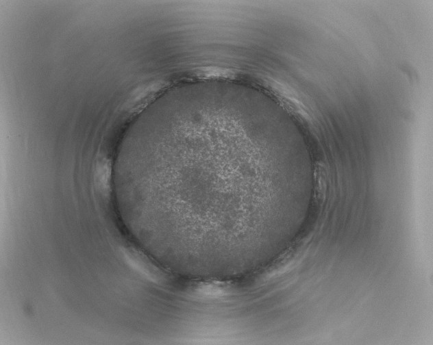 X0000115670550200911251732