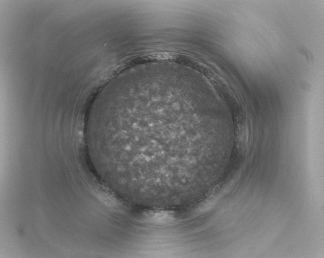 X0000115670553200911251732