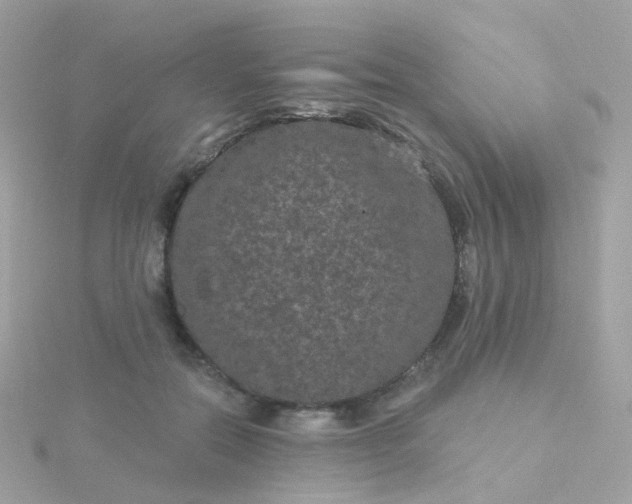 X0000115670554200911251732