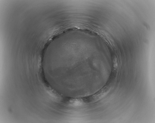 X0000115670559200911251732