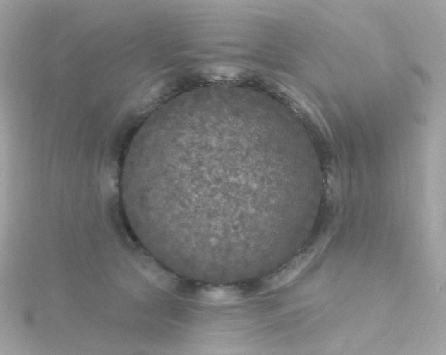 X0000115670561200911251732