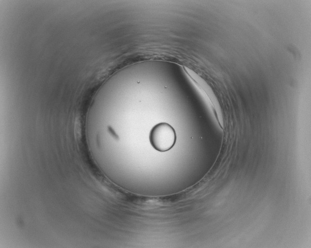 X0000115670562200911251732