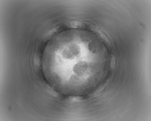 X0000115670569200911251732