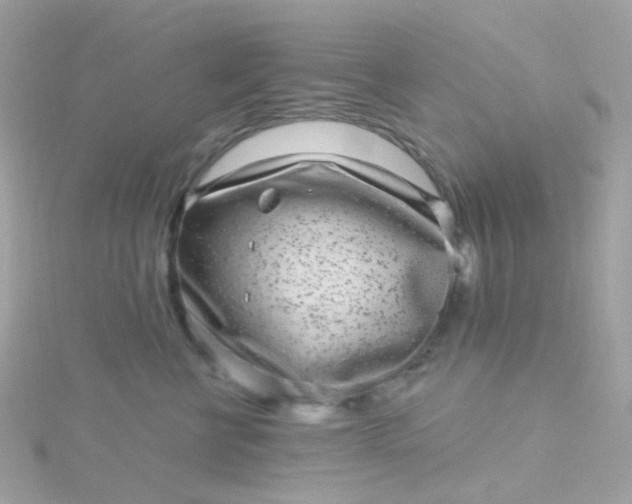 X0000115670570200911251732