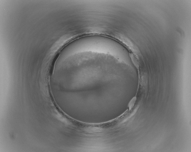 X0000115670577200911251732