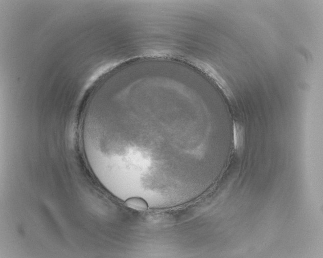 X0000115670579200911251732