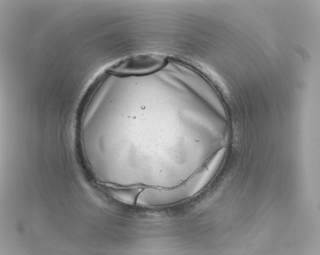 X0000115670580200911251732