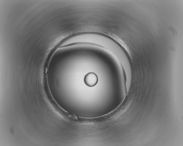 X0000115670581200911251732