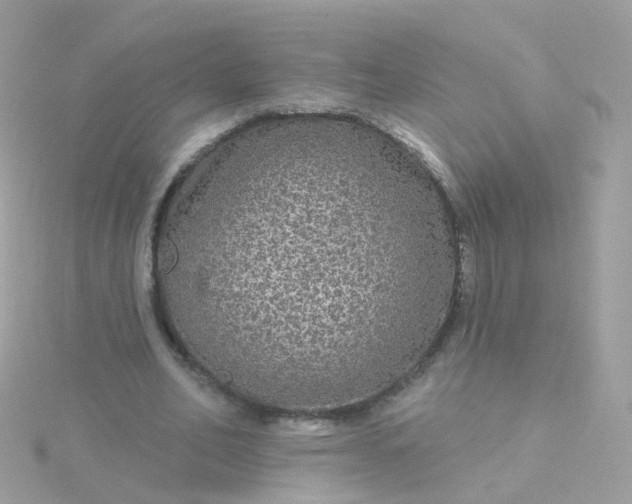 X0000115670582200911251732