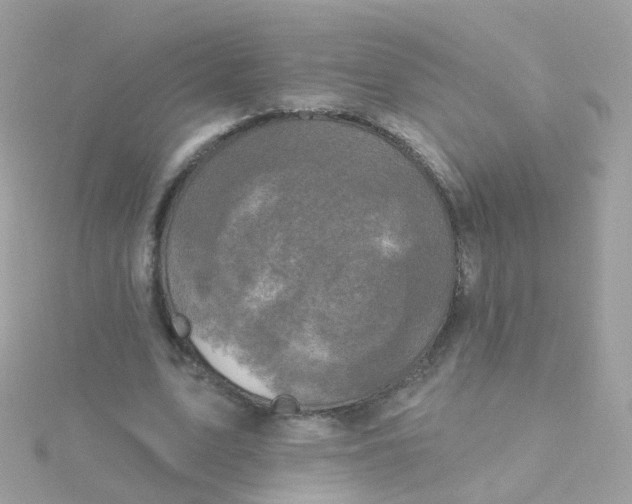 X0000115670583200911251732