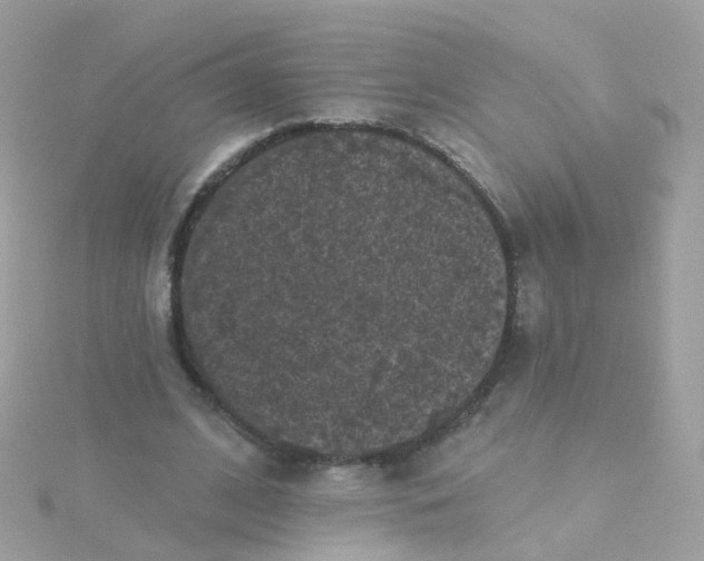 X0000115670584200911251732