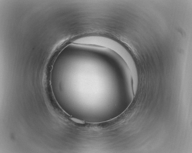 X0000115670587200911251732