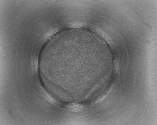 X0000115670589200911251732