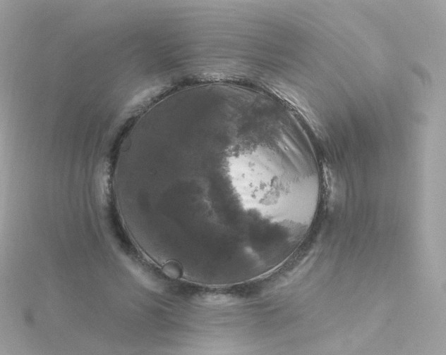 X0000115670590200911251732