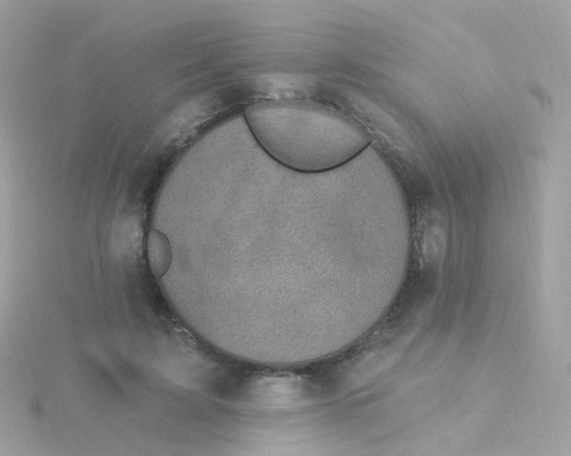 X0000115670595200911251731