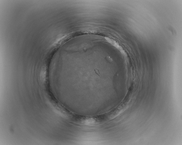 X0000115670600200911251731