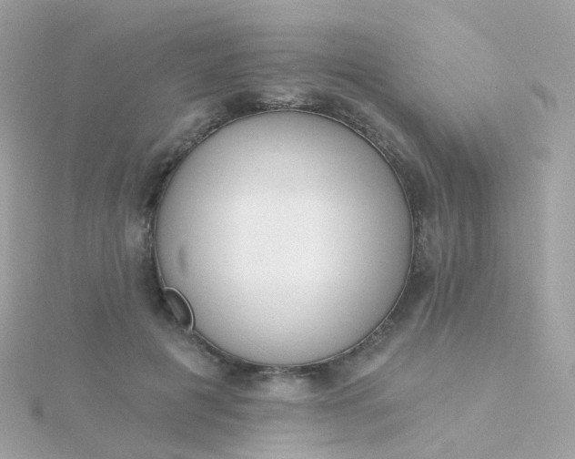 X0000115670601200911251731