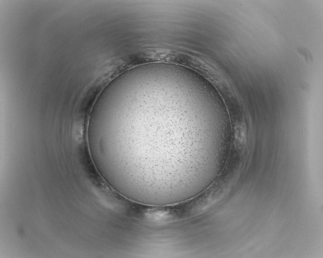 X0000115670602200911251731