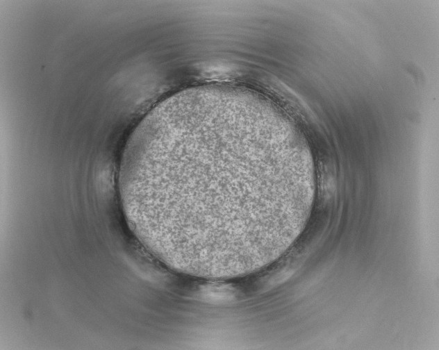 X0000115670603200911251731