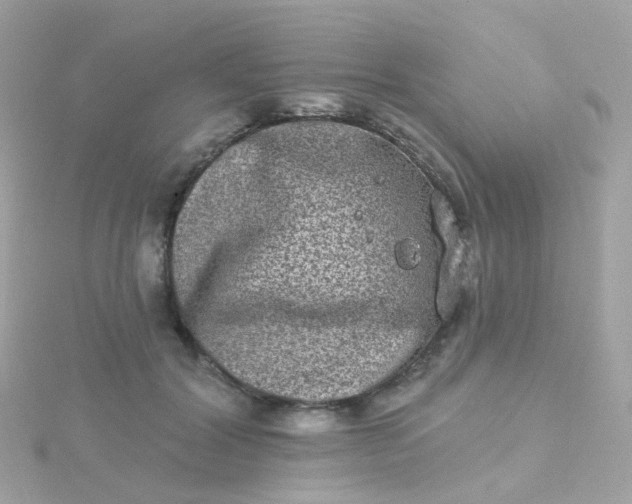 X0000115670604200911251731