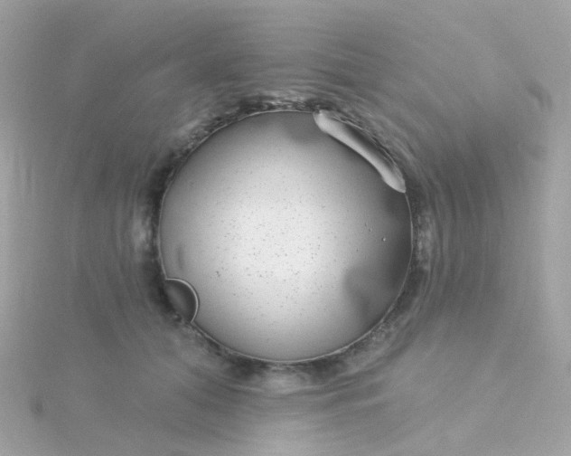 X0000115670608200911251731