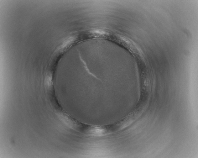 X0000115670610200911251731