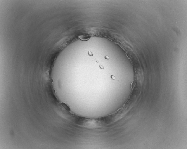 X0000115670611200911251731