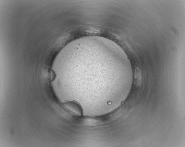 X0000115670614200911251731