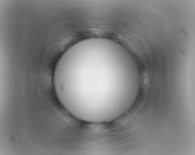 X0000115670615200911251731