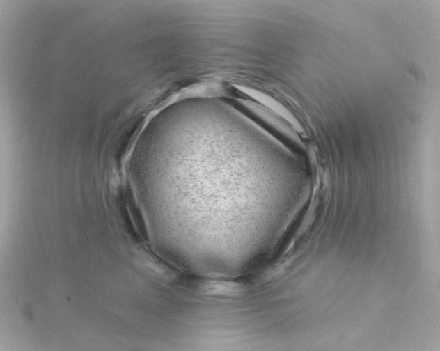 X0000115670617200911251731