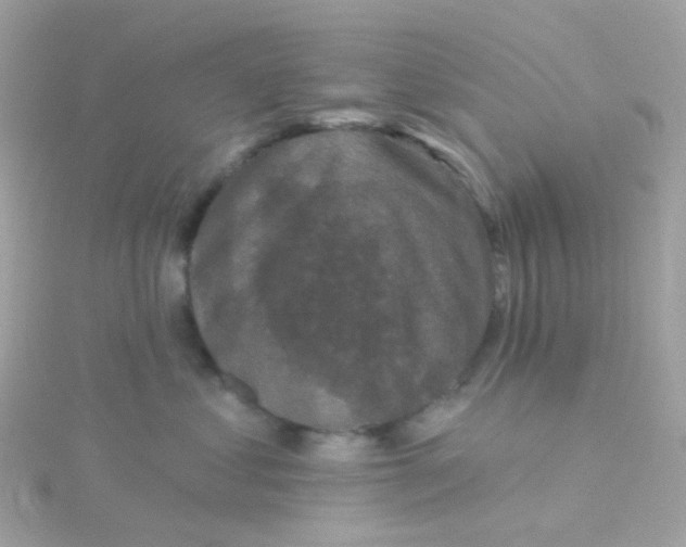 X0000115670621200911251731