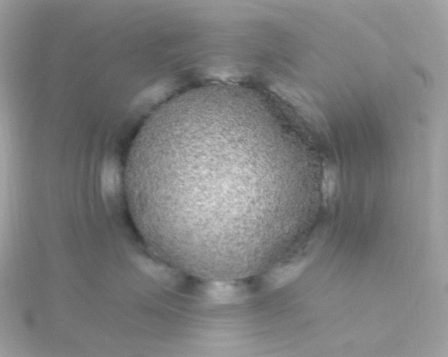 X0000115670623200911251731