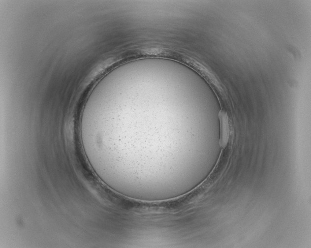 X0000115670626200911251730