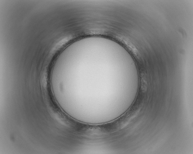 X0000115670631200911251730