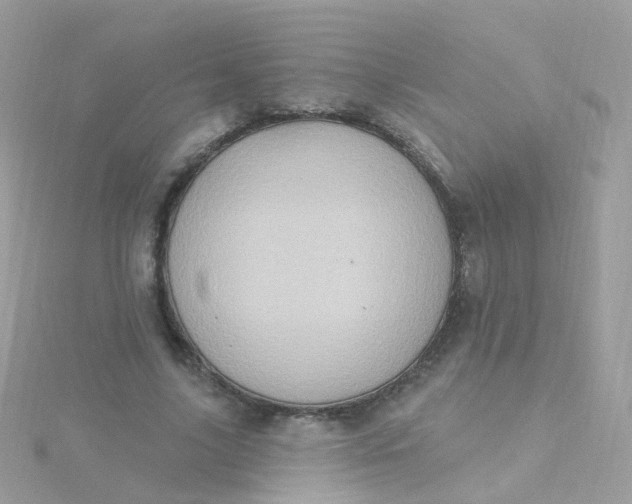 X0000115670635200911251730