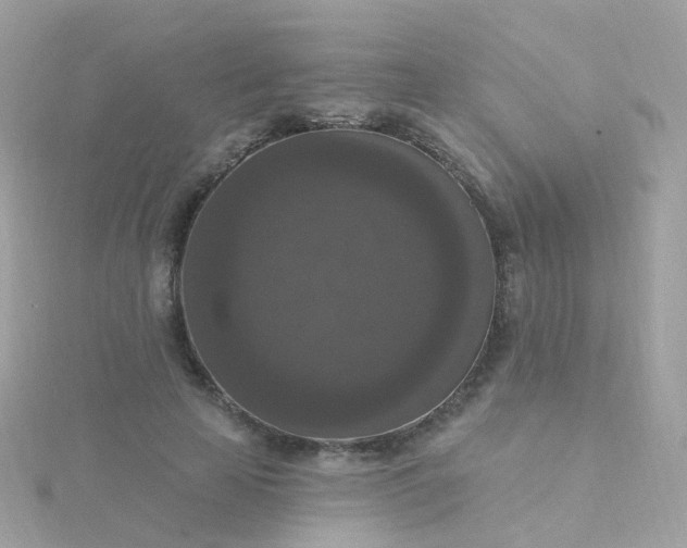 X0000115670641200911251731