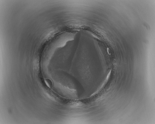 X0000115670642200911251731