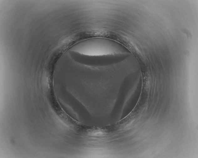 X0000115670643200911251731