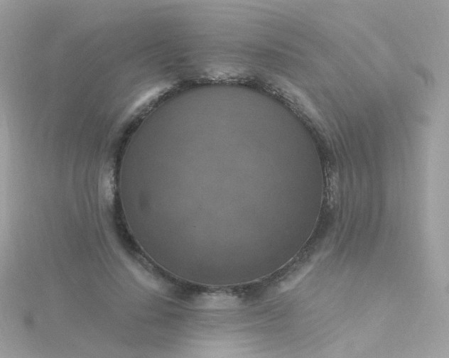 X0000115670644200911251731