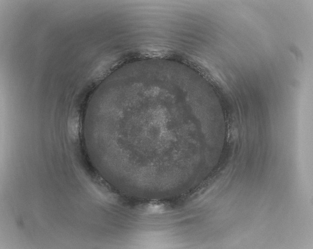 X0000115670647200911251731