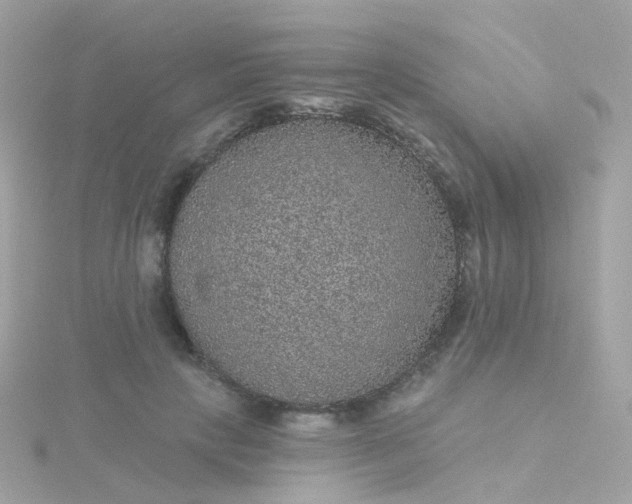 X0000115670649200911251731
