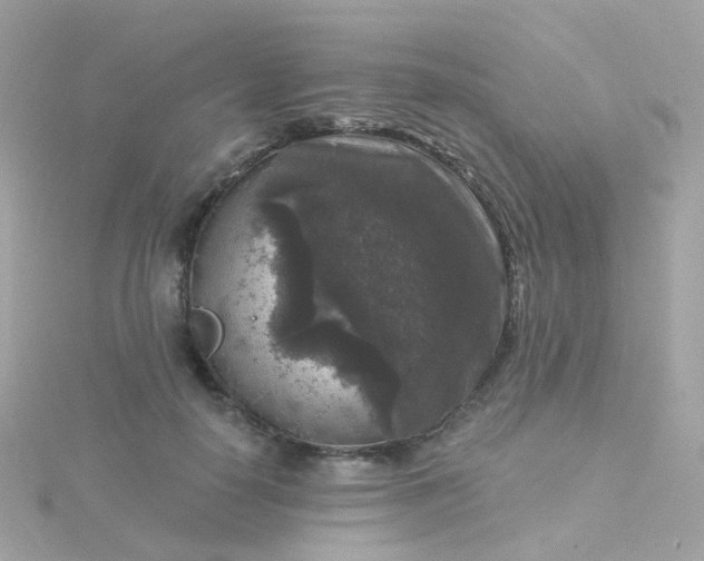 X0000115670650200911251731