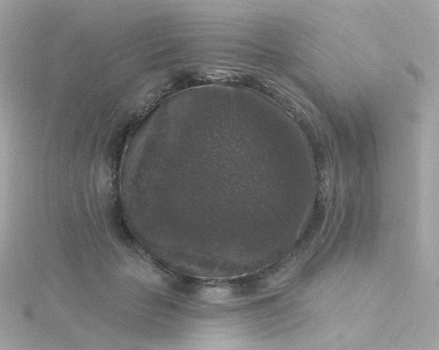 X0000115670653200911251731