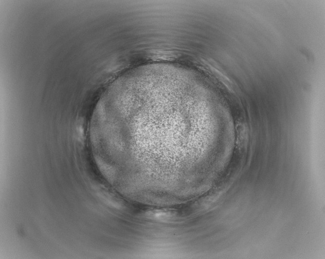 X0000115670655200911251731