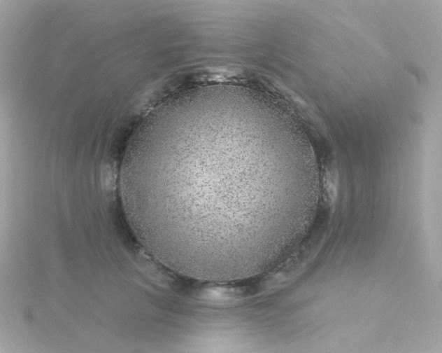 X0000115670657200911251731