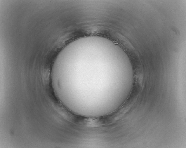 X0000115670660200911251731