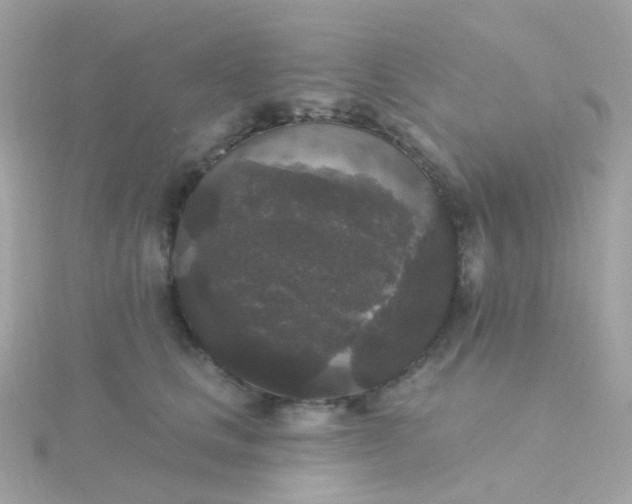 X0000115670661200911251731