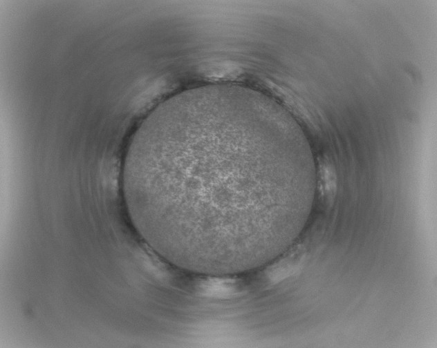 X0000115670664200911251731